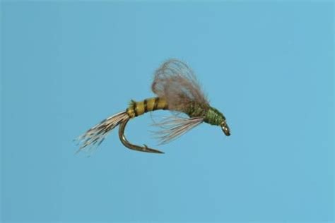 Blue Wing Olive Cdc Loop Wing Emerger Blue Winged Olive Fly Fishing