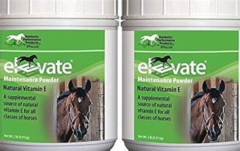 Vitaminas para caballos para engordar una guía completa Todo Engorda