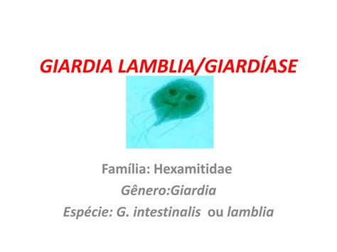 Parasitologia Giardia Lamblia Ppt