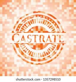 Castrate Abstract Orange Mosaic Emblem Background Stock Vector Royalty