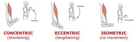 Progressive Tendon Loading for Patellar Tendinopathy - Sports Medicine Review