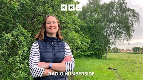 Bbc Radio Humberside Bbc Radio Humberside Hull Named Tree