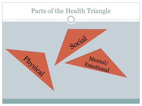 Health Triangle Worksheet — db-excel.com