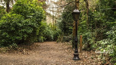 The Narnia Trail Kilbroney Park Rostrevor Connolly Cove