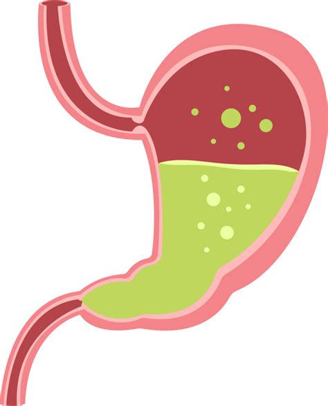 Stomach clipart design illustration 9384730 PNG