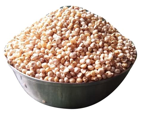 Hybrid White Sorghum Seed For Food Processing Packaging Type Loose