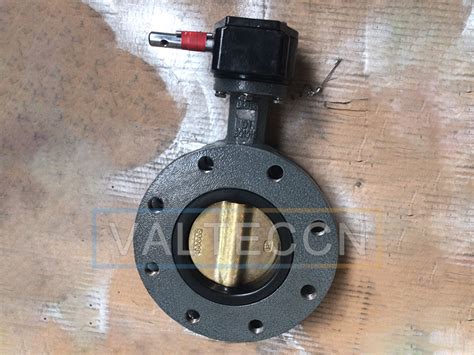 Seawater Flange Butterfly Valve With Aluminum Bronze Disc Valteccn