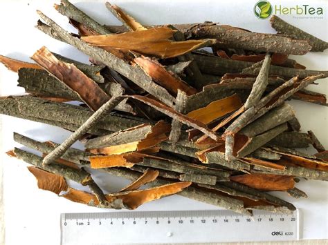 Dried alder buckthorn bark | Promyslova-Trade | Ingredients Network