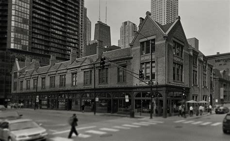 tree studios  behance