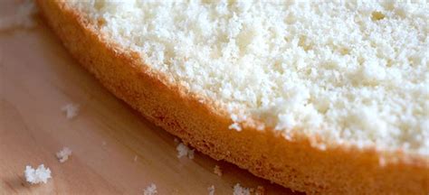 Biscuitbodem recept | Bakkenderwijs