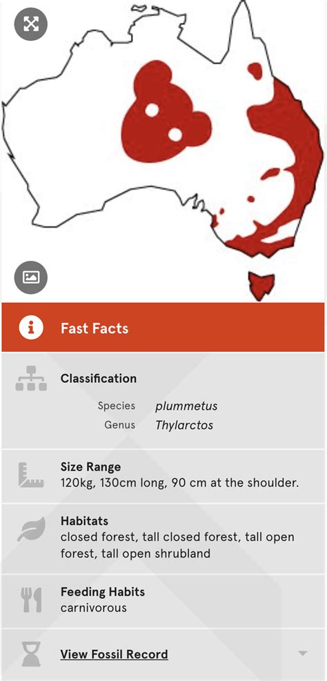 Where did the drop bear myth come from? - Australian Geographic