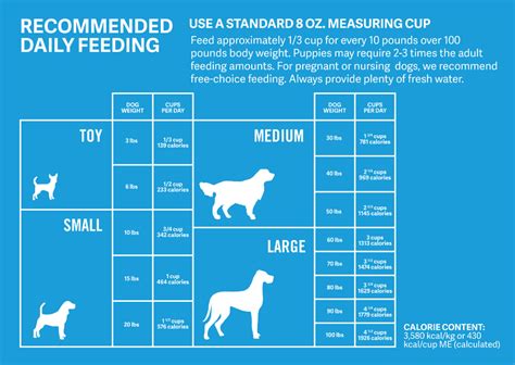 How Much Should Dogs Eat? | Calculate How Much to Feed Your Dog | PetMD ...