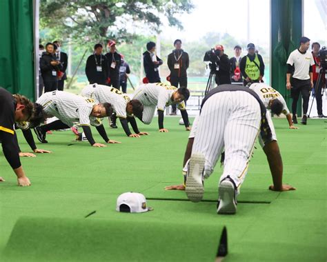 【阪神】ミエセス奮闘、ドレッドヘアー振り乱し坂道ダッシュ 11日紅白戦は指名打者の見込み プロ野球写真ニュース 日刊スポーツ