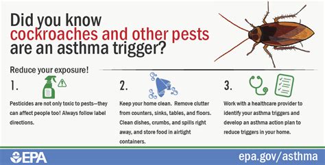 Asthma Triggers Infographics | US EPA