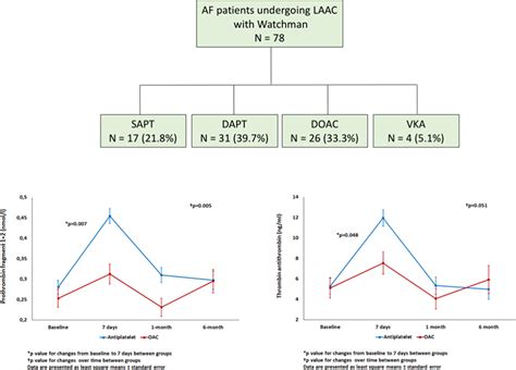 Short Term Oral Anticoagulation Versus Antiplatelet Therapy Following