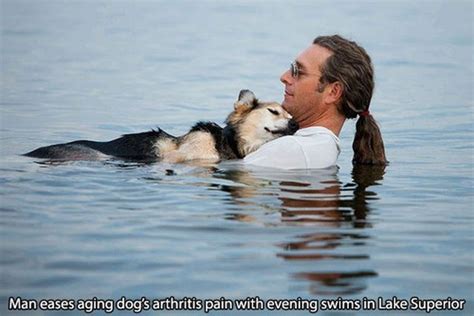 Faith In Humanity Restored (Animals Edition) - Gallery | eBaum's World