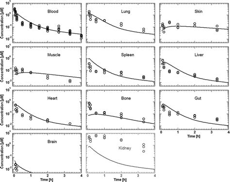 Comparison Of Simulated Lines Versus Experimental Symbols