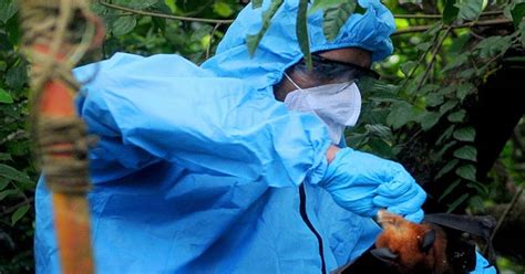 Why is Nipah virus recurring in Kerala?- Asianet News English