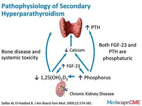 Hyperparathyroidism Secondary