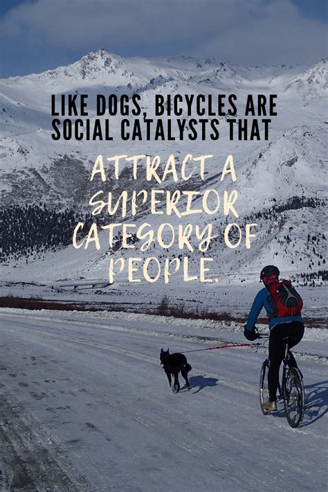 Cycling Quotes To Inspire You To Ride Your Bike More Artofit