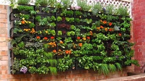 Vertical Garden Kebun Cantik Tanpa Tanah