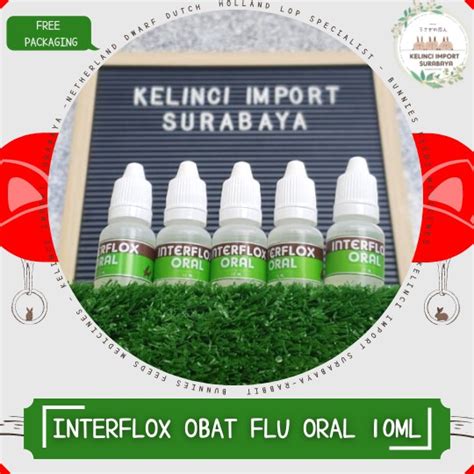 Jual OBAT FLU Hewan Interflox Oral Gangguan Saluran Pernafasan Kelinci