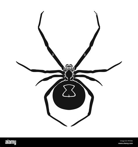 Black widow spider icon in black design isolated on white background ...