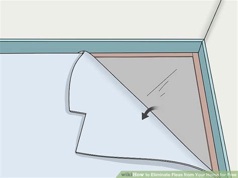 3 Ways to Eliminate Fleas from Your Home for Free - wikiHow