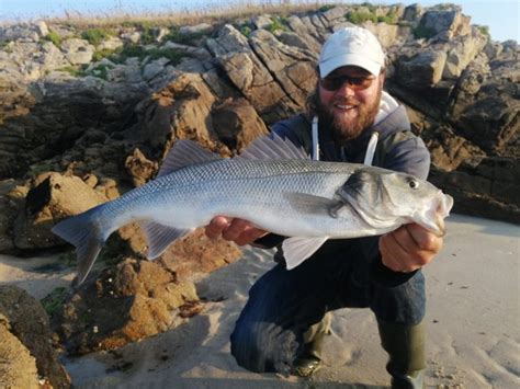 Guide Ultime De La P Che Du Bar En Bretagne Spots Techniques Et