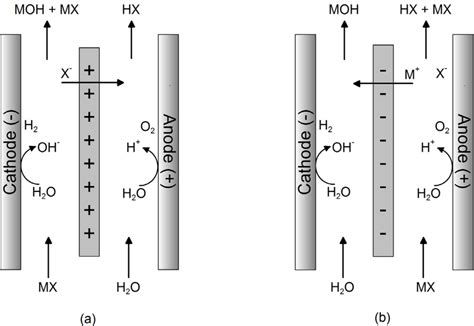 Schematic Representation Of Membrane Electrolysis With Anion Exchange