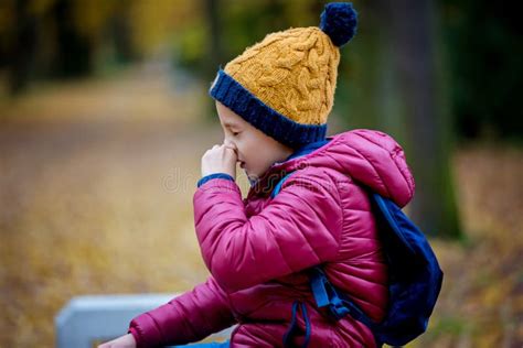 Preschool Child Boy Sneezing In Park Flu Season Stock Photo Image