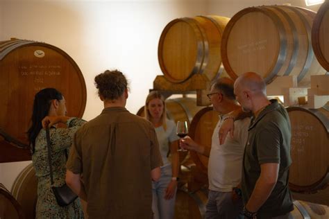 Wine Tour In The Euganean Hills From Abano Montegrotto