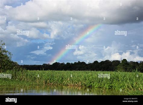 Brazil Amazon Rainforest Amazonia Jungle Forest River Tropics Tropical