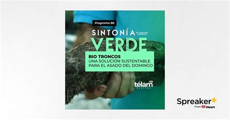 Bio Troncos Una Soluci N Sustentable Para El Asado Del Domingo