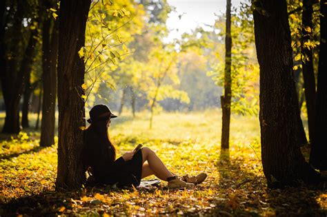 Fondos De Pantalla Luz De Sol Rboles Bosque Oto O Mujeres Al