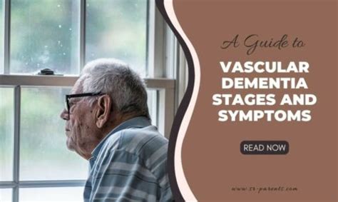 A Guide To Vascular Dementia Stages And Symptoms SR Parents