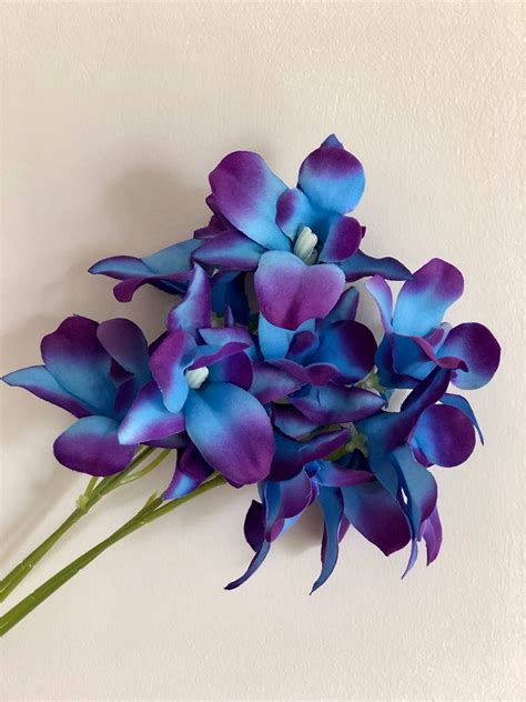 Galaxy Orchids Stems Purple Blue Galaxy Orchid Pcs Flowers