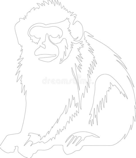 Silueta De Contorno Macaco Ai Generativo Ilustración del Vector