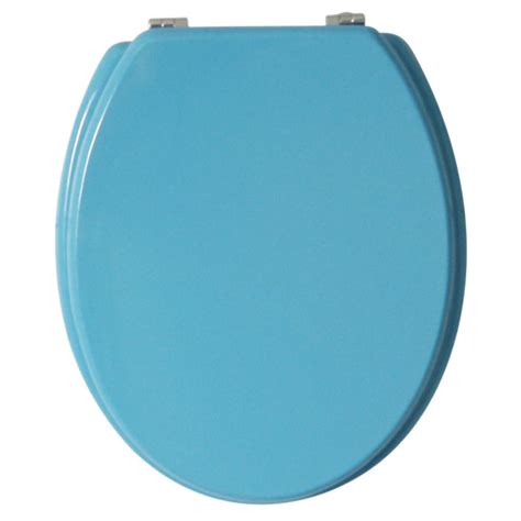 blue toilet seats