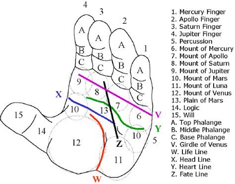 Islamicraft: Palmistry: Lines & Mounts