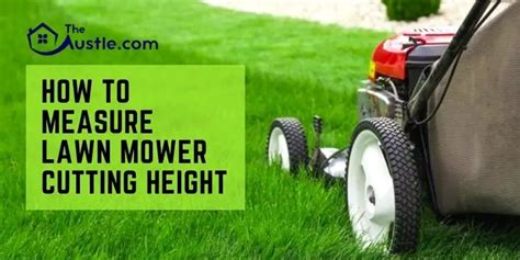 How To Measure Lawn Mower Cutting Height Expert’s Guide