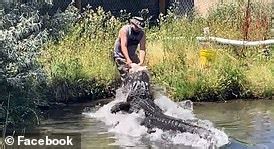 Monster Alligator Weighing 800lbs And 14ft Long Sets New Mississippi