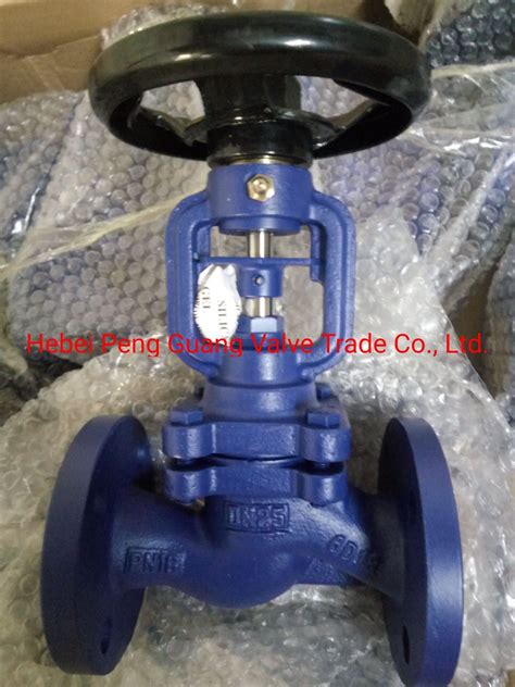 Din Pn Cast Ductile Iron Flange End Bellow Seal Globe Valve China