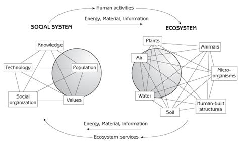 Human Ecology