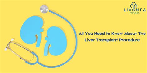 All You Need To Know About The Liver Transplant Procedure Livonta Global Pvt Ltd