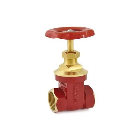 Stainless Steel Bronze Gate Valve At Best Price In Kolkata The