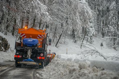 Premium Photo Snow Covered Road Amidst Trees During Winter