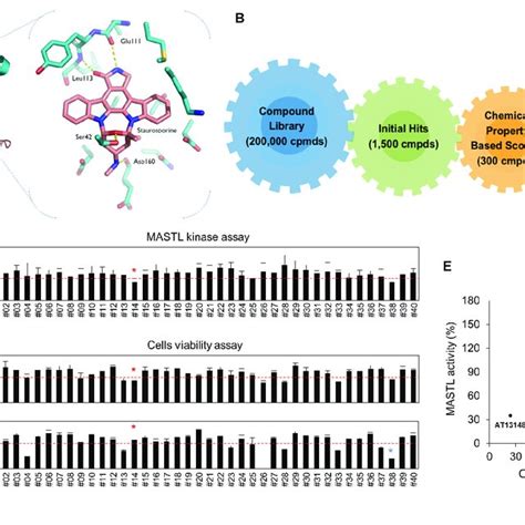 Identification Of Mastl Inhibitor Candidates By In Silico Screening