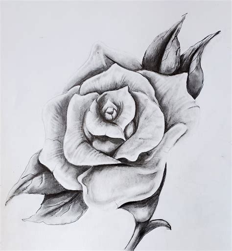 Realistic Rose - Drawing | Instructor: Karin – Artists Palette Durham