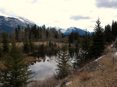 Edit free photo of Canmore,alberta,mountains,river,trees - needpix.com